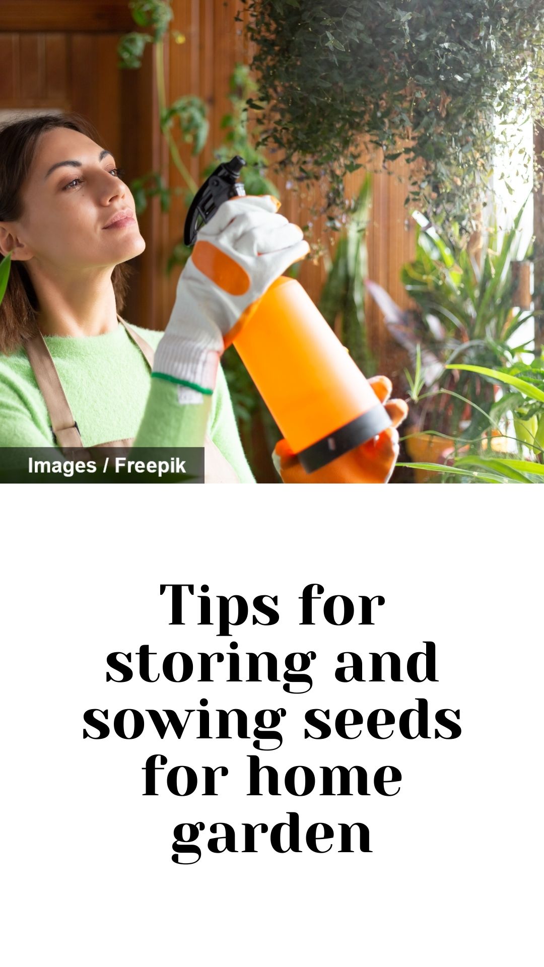Tips for storing and sowing seeds for home garden The Indian Express