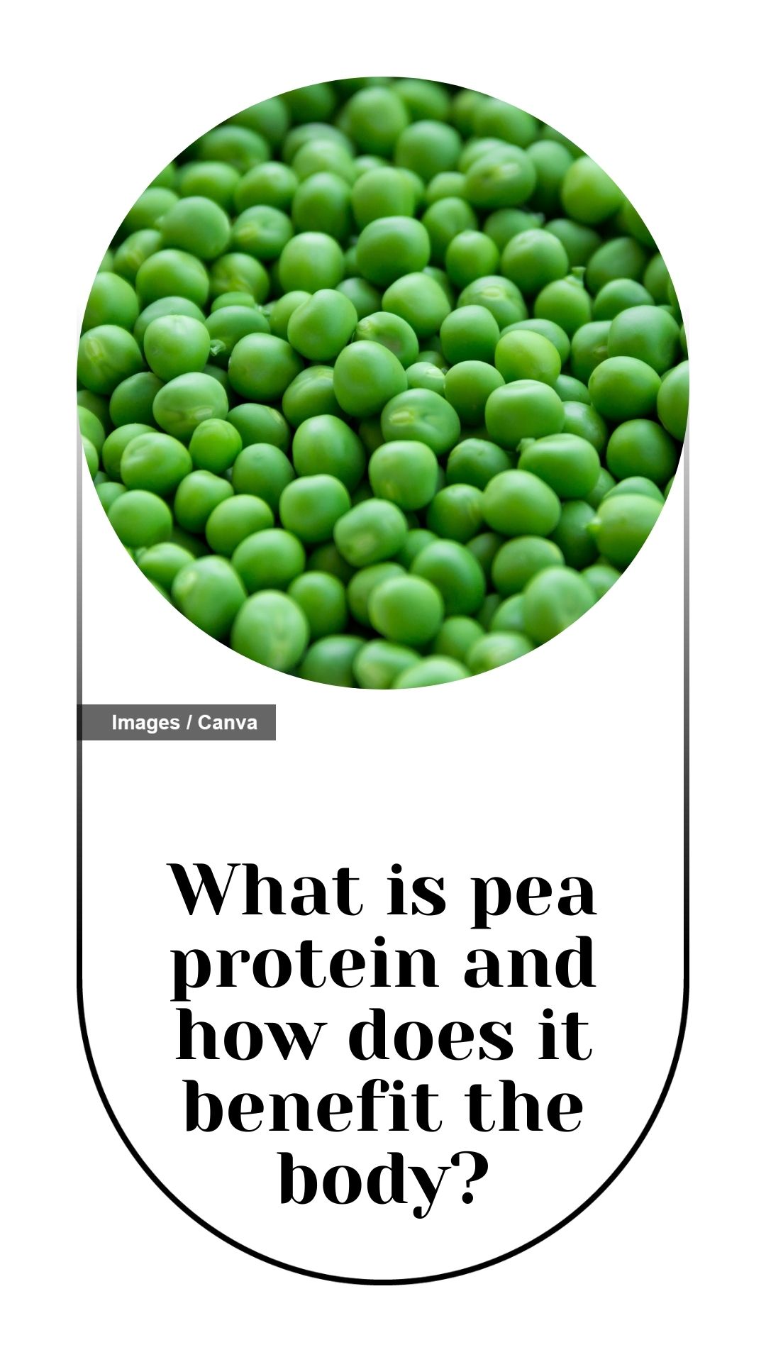 What is pea protein and how does it benefit the body? The Indian Express