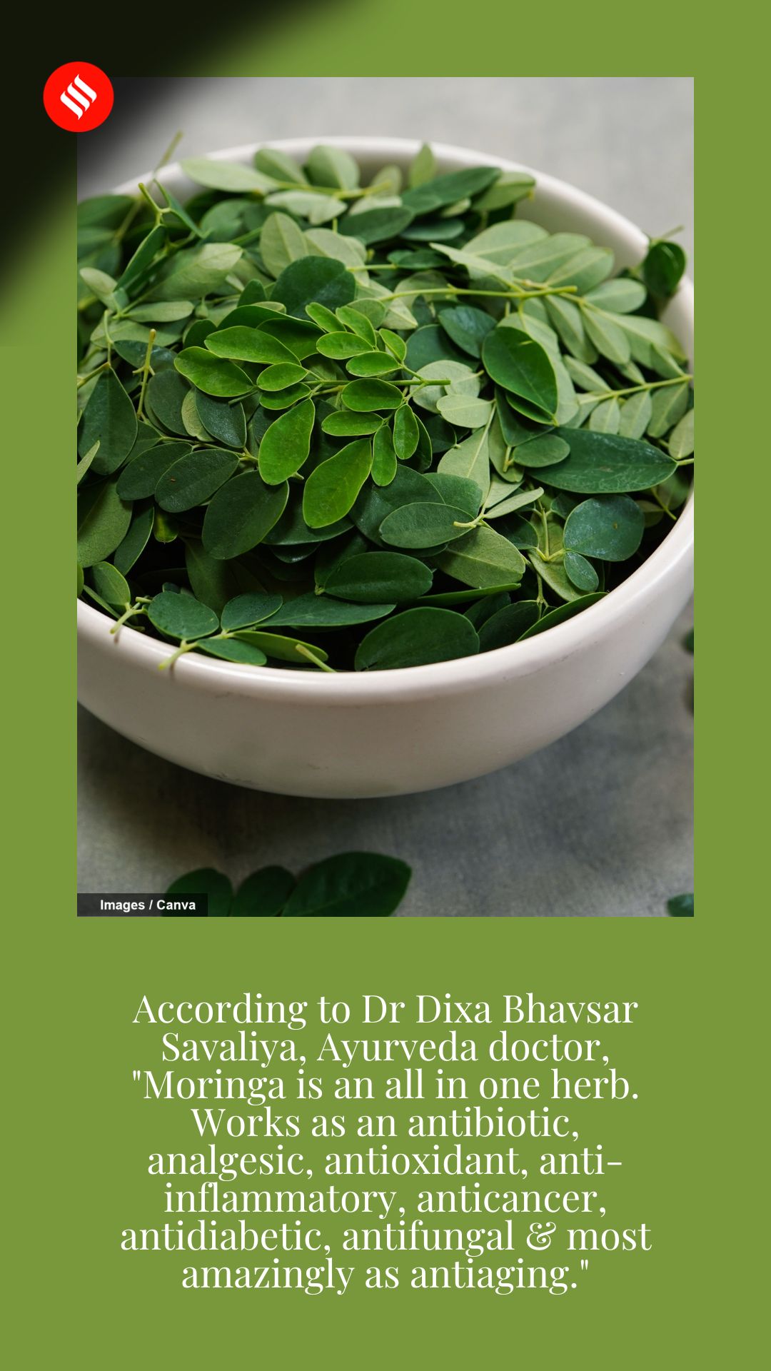 Benefits of Moringa The Indian Express