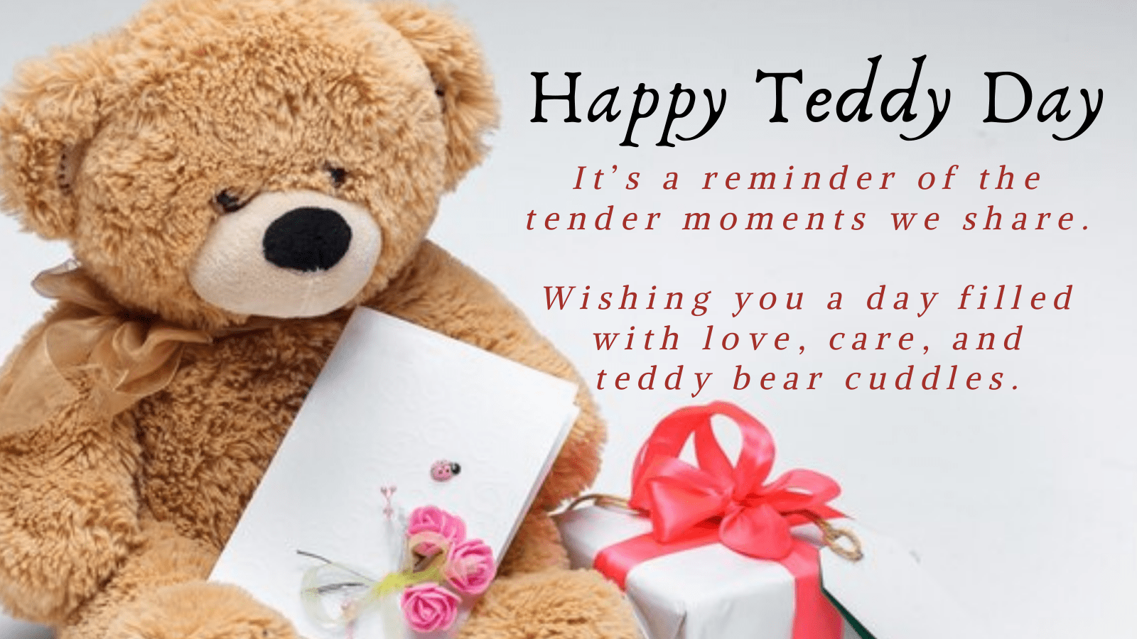 Teddy Day 2024 Top wishes and quotes for your loved ones Trending