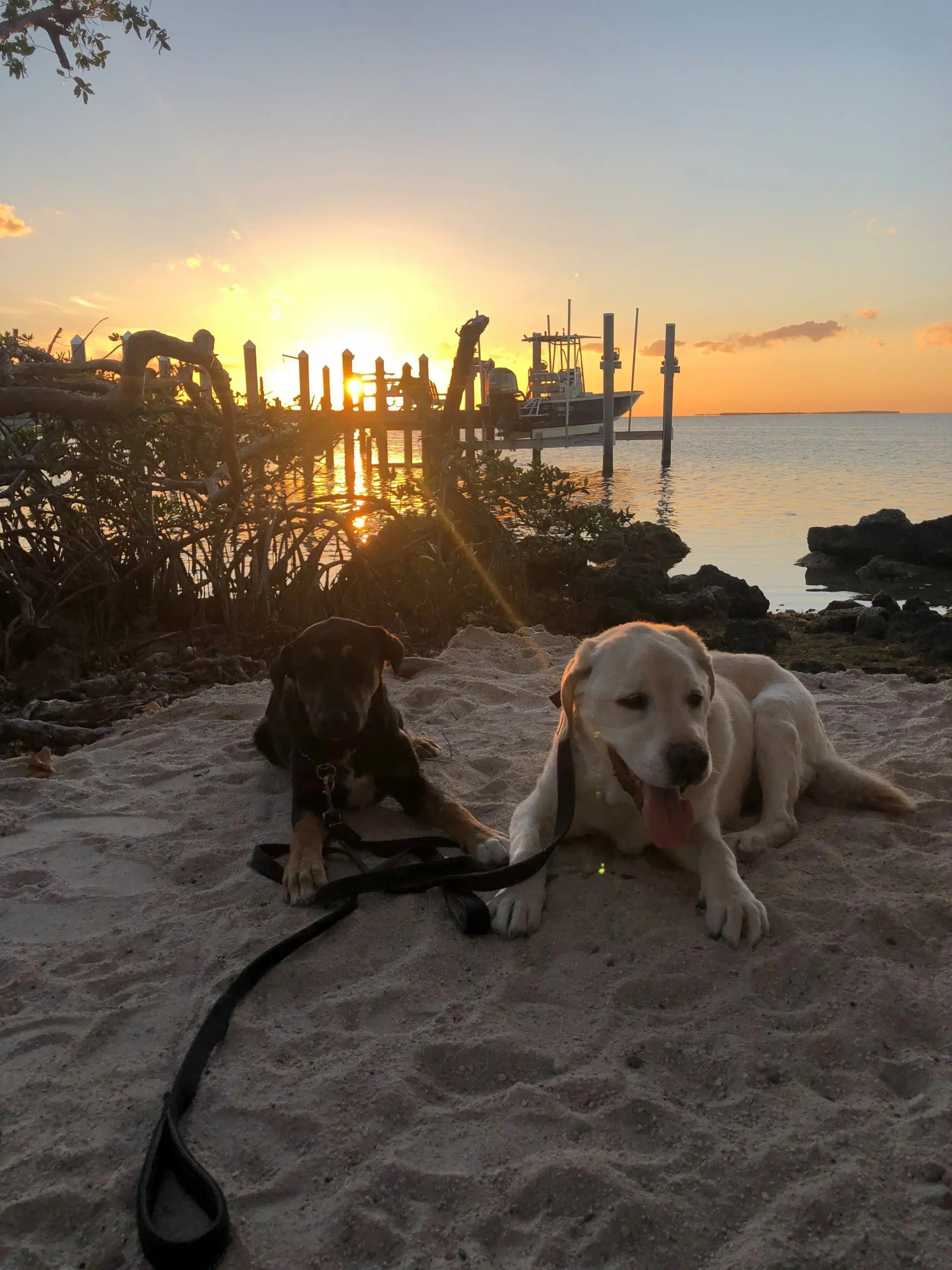 HOA Rules Indian Harbor Indian Waterways HOA