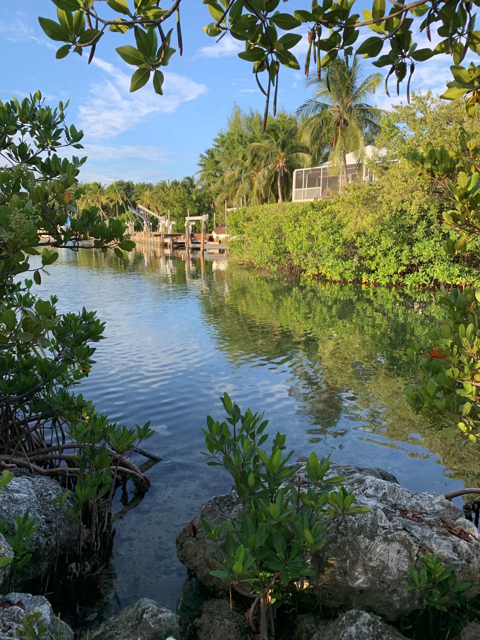 HOA Rules Indian Harbor Indian Waterways HOA