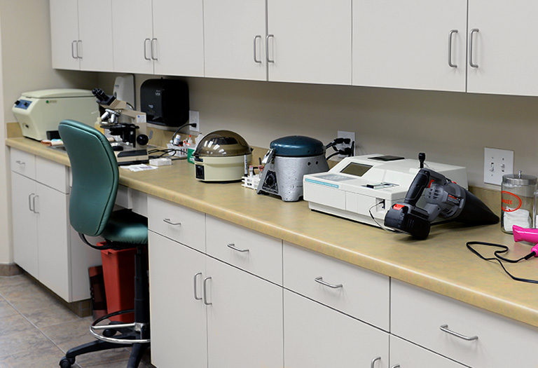 About Us Veterinary Clinic in Tuscaloosa, AL Indian Hills Animal Clinic