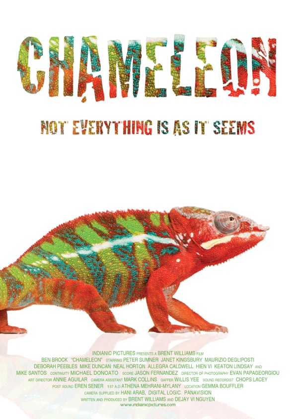 Chameleon Life Cycle Pictures to Pin on Pinterest PinsDaddy