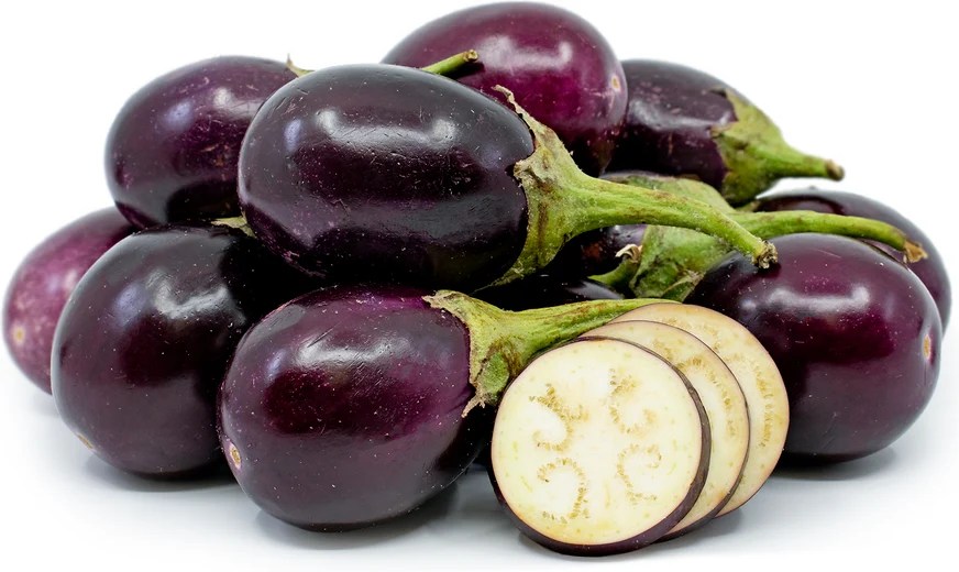 One Stop Shop For Indian Plants and Seeds Indian PlantsNSeeds