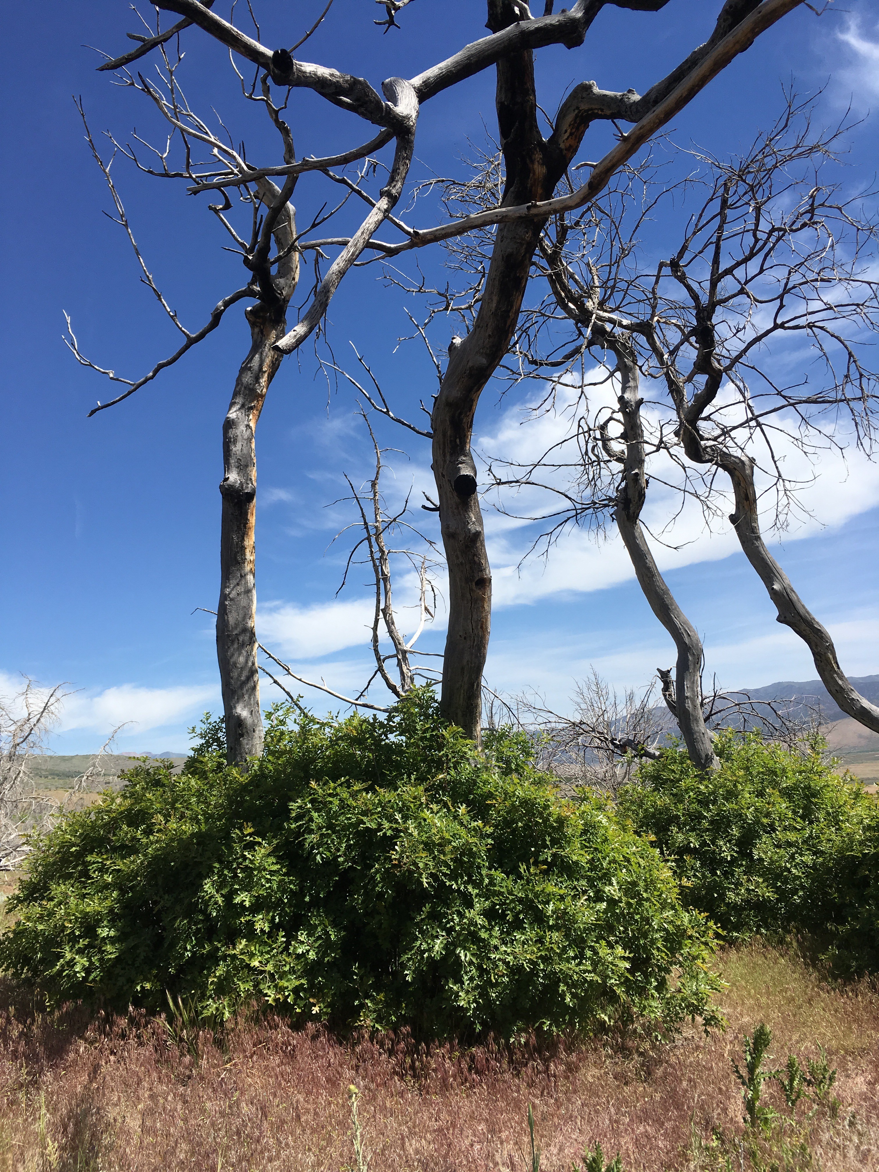 Indian Ridge Subdivision Gallery