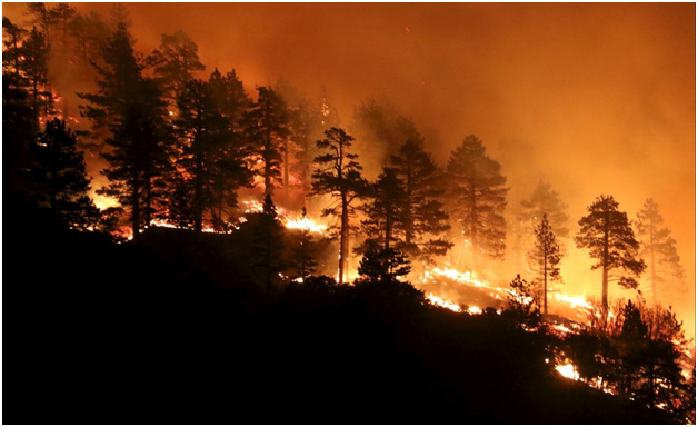 Los Angeles fire named la tuna is largest fire in city’s history with