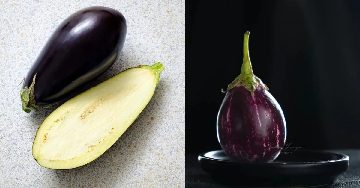 7 Surprising Benefits and Sides Effects of Brinjal