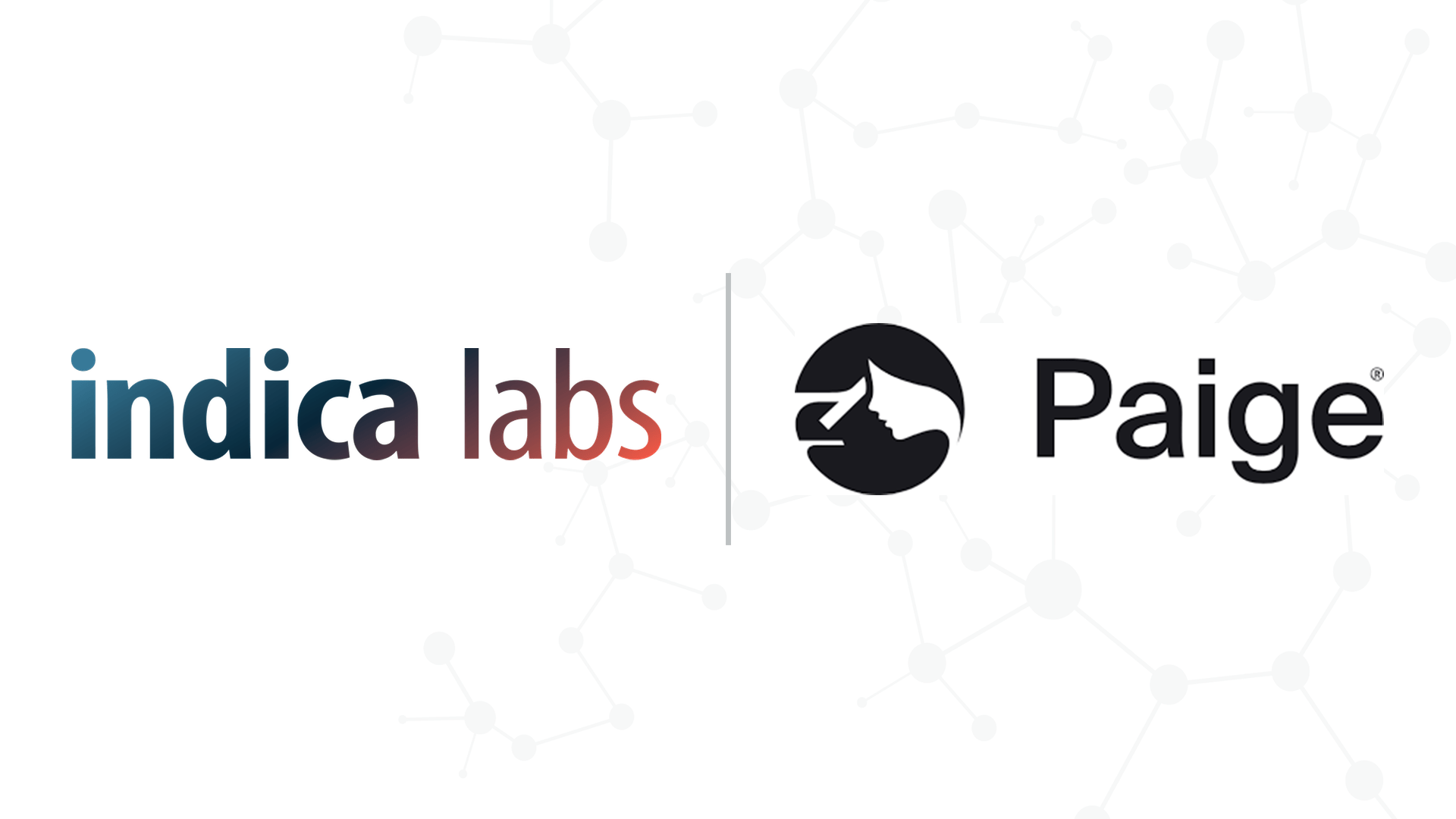 Indica Labs and Paige Strategic Partnership to Expand Integrated