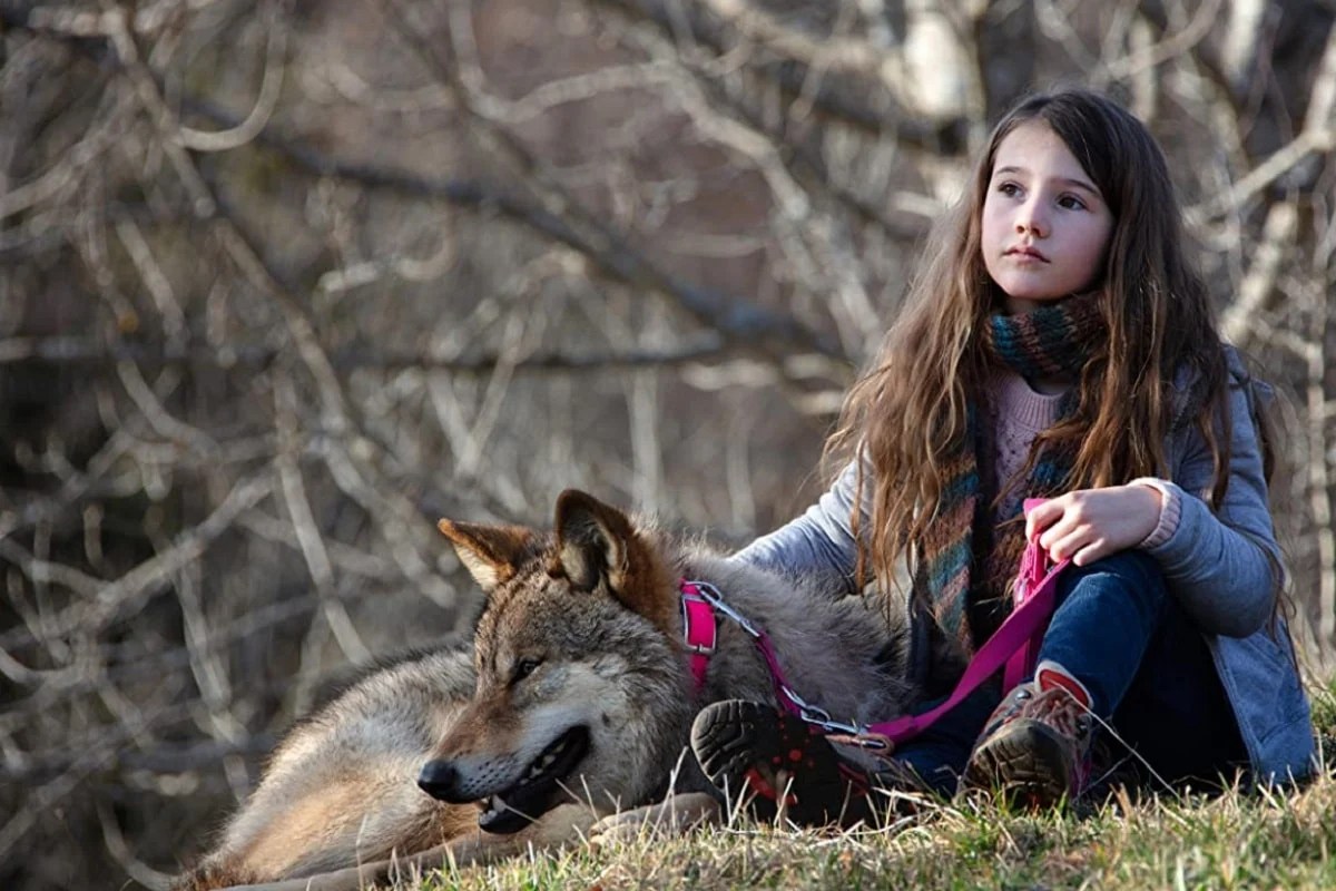 Misterio La entrañable película francesa para ver en Netflix