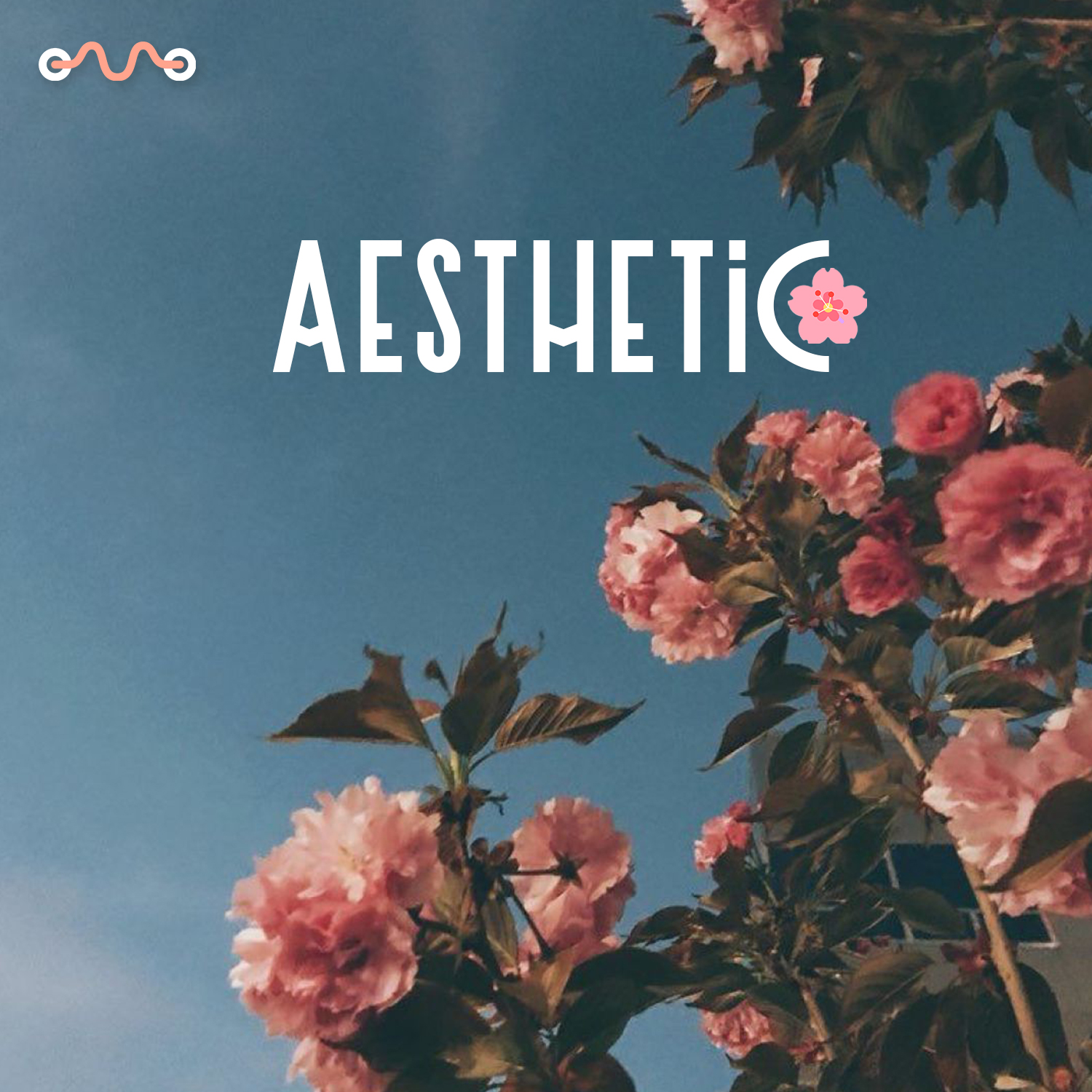 Aesthetic Indie Vibes Spotify & Apple Music Playlist INDIEMONO