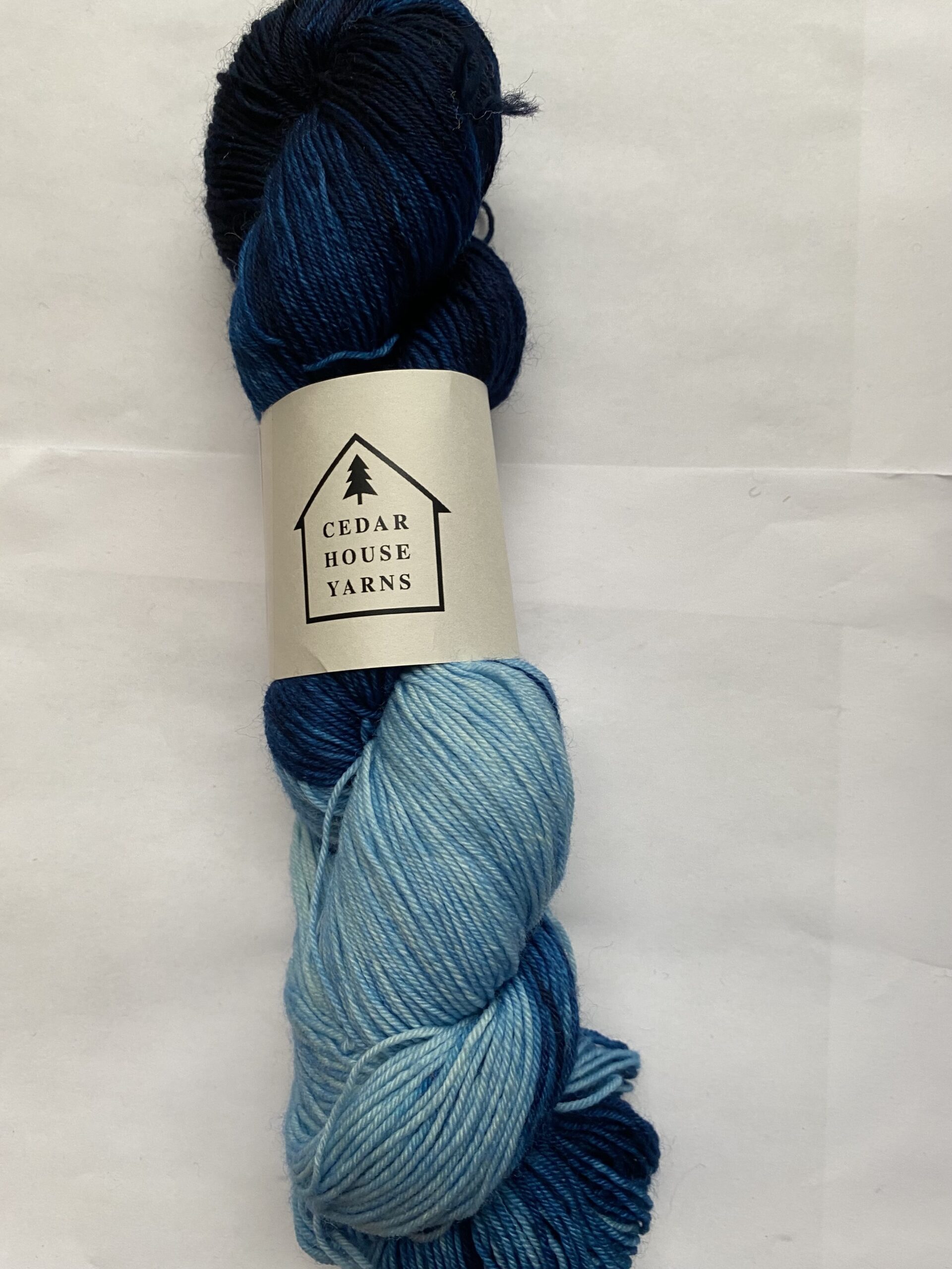 One skein Cedar House Yarns Sapling Sock yarn Indie Untangled