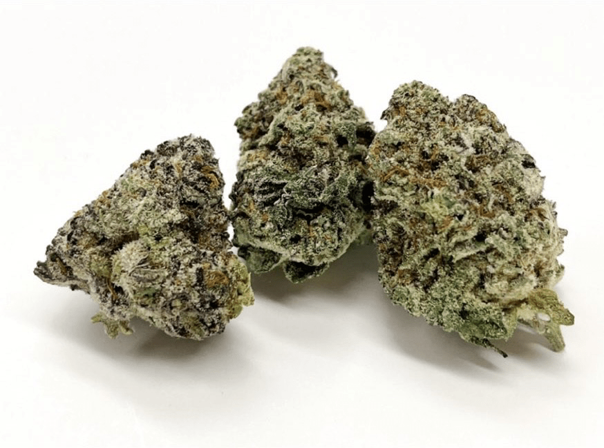 Mcflurry Hybrid Indigenous Bloom