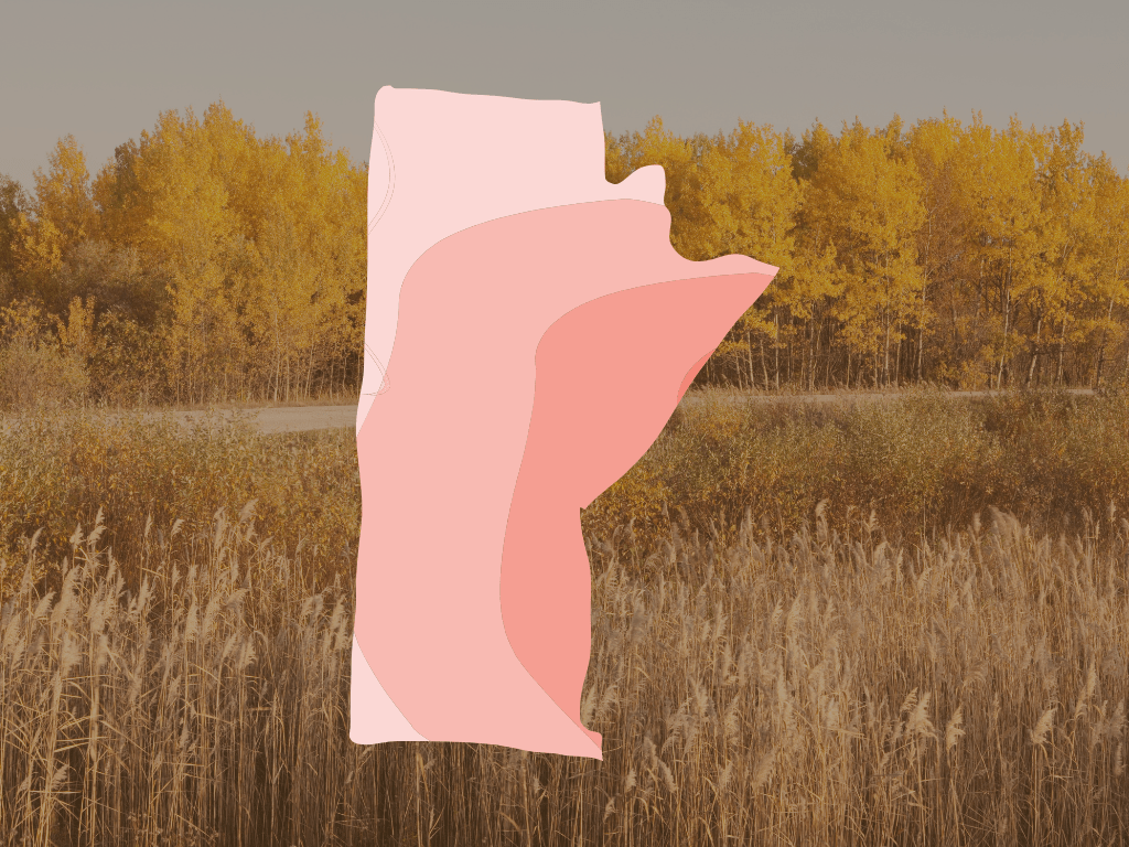 Indigenous Language Education Policy in Canada • 2023