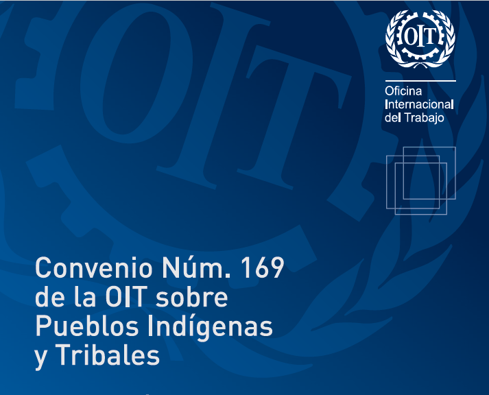 Convenio 169 de la OIT Indignación