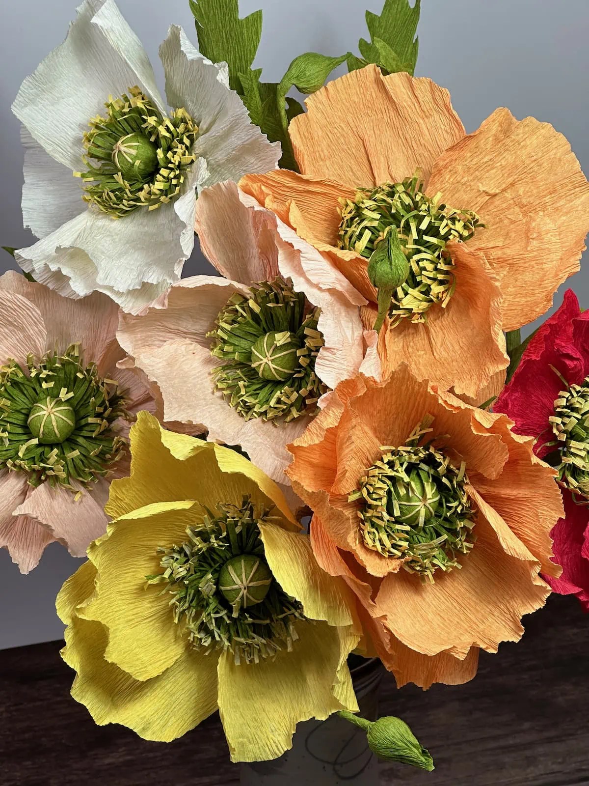 Icelandic poppies Indigo Mole