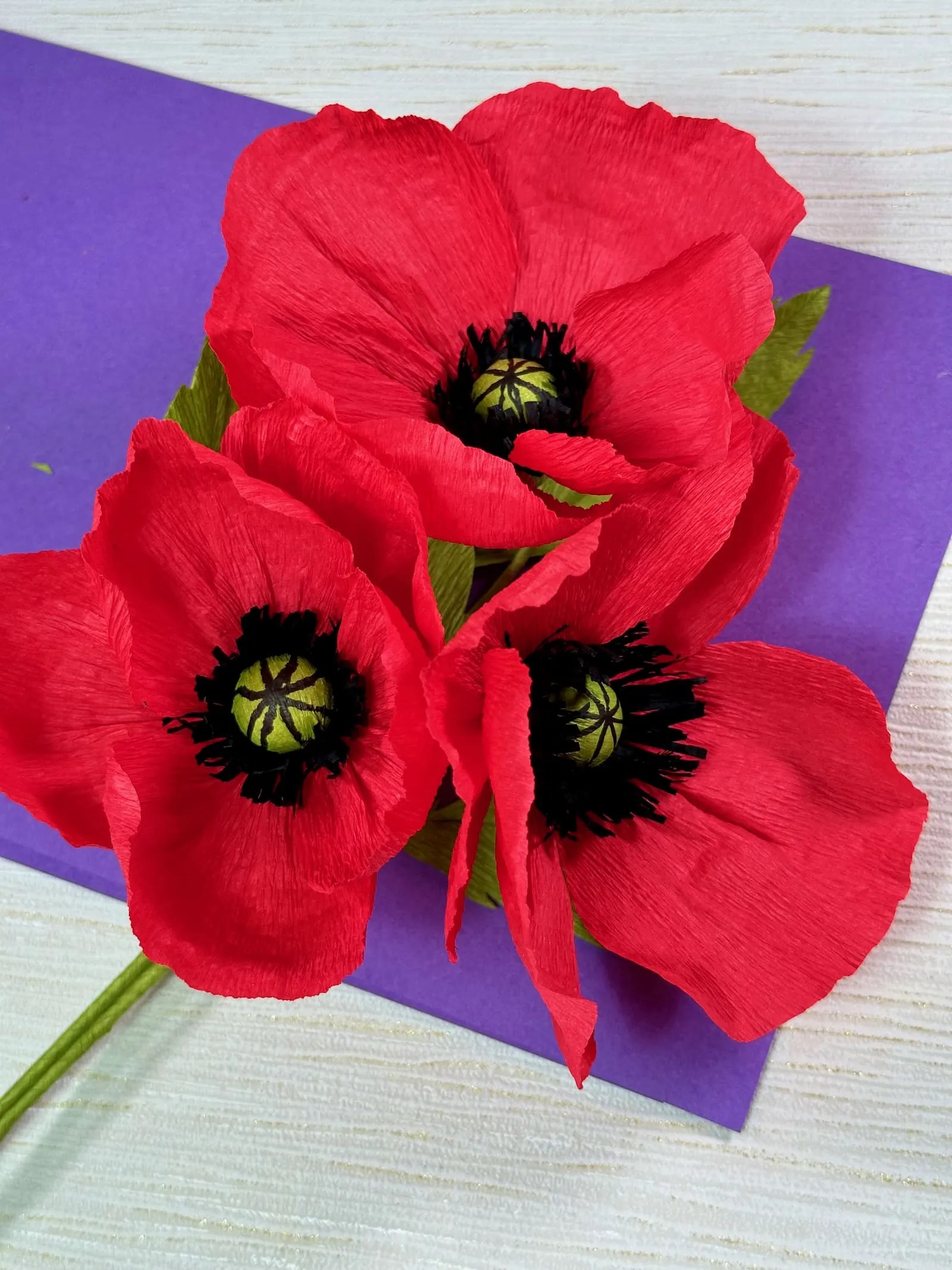 Poppy crepe paper flower kit Indigo Mole