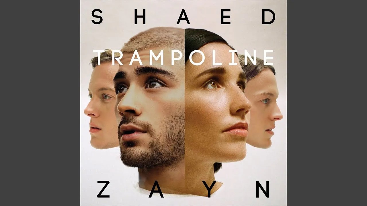 Zayn features on remix of 'Trampoline' HOME