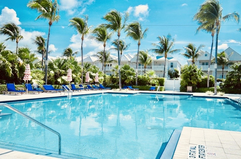 Book Indigo Reef 41 Indigo Reef 41