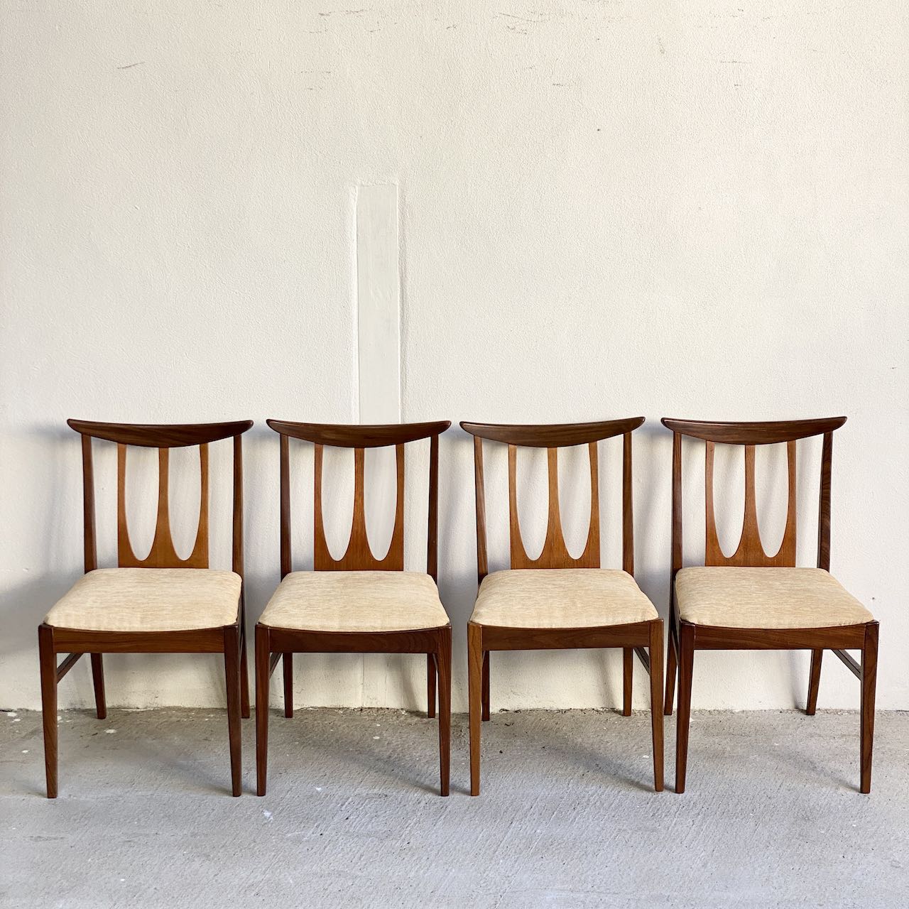 G Plan Dining Chairs Vintage G Plan Indigo Sprout