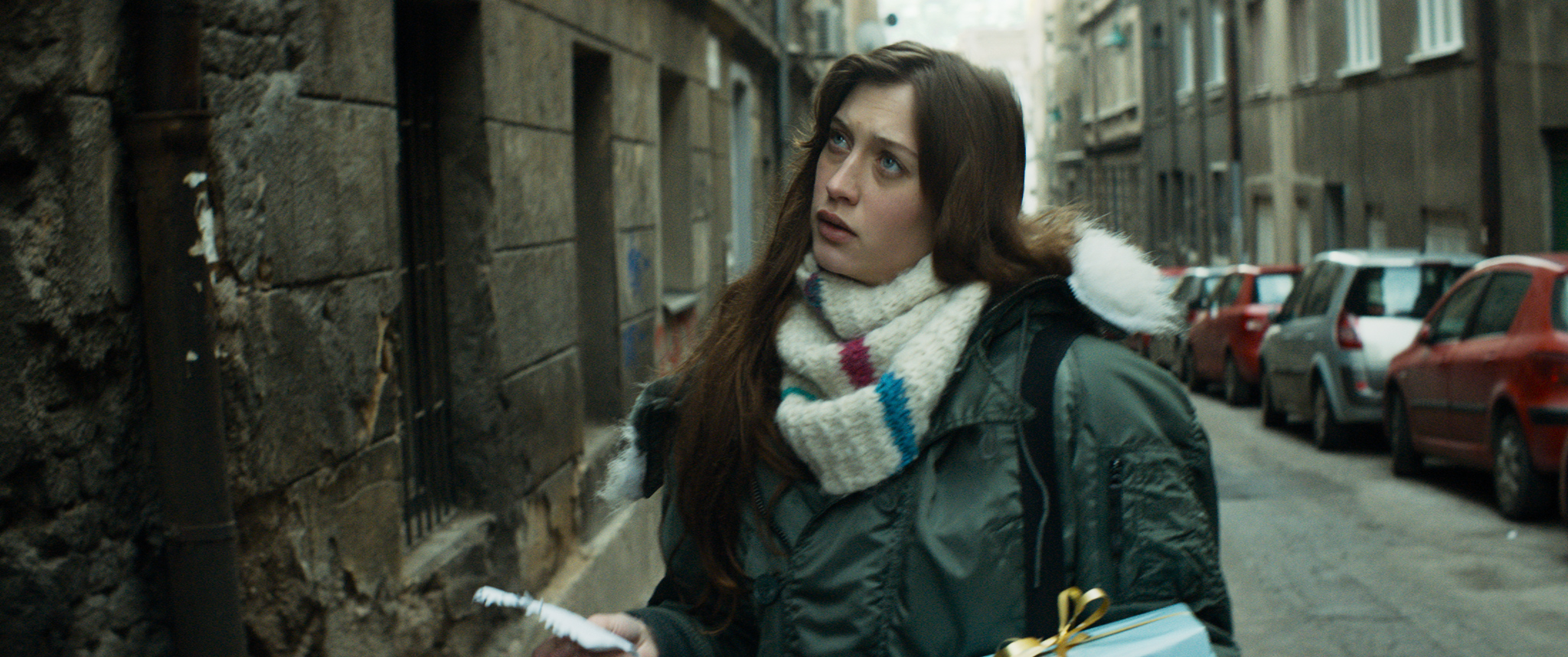 My Aunt in Sarajevo Indio