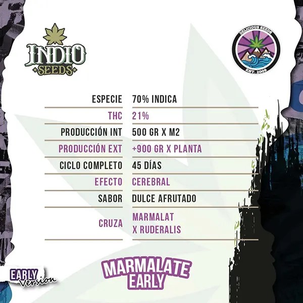 Marmalate Early Version x3 Delicious Seeds Indio Seeds