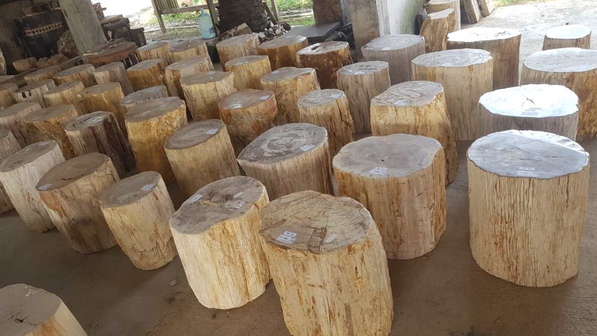 Petrified Log Side Table IndoGemstone Petrified Wood