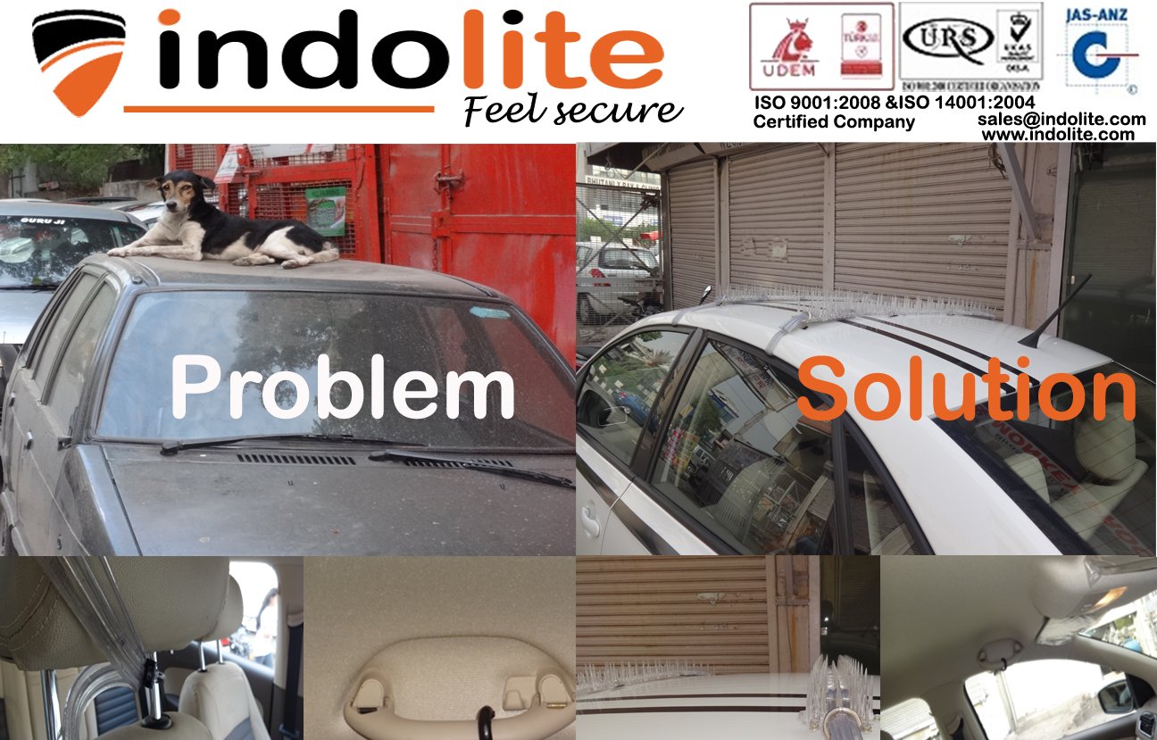 Buy Car Roof Protector from Dogs & Monkeys Car Guard for Dogs Stop