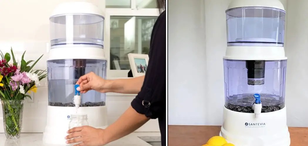 How to Clean Santevia Water System 5 Easy Steps (2024)