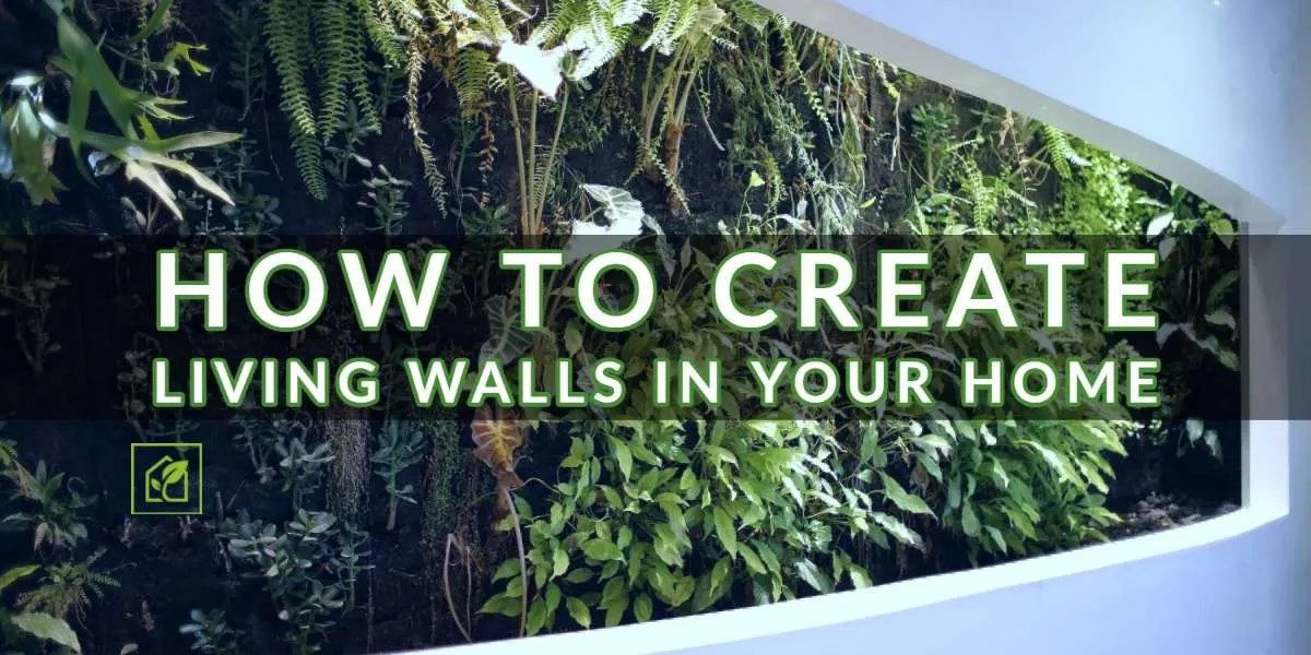 How To Create Living Walls in Your Home Indoor Gardening