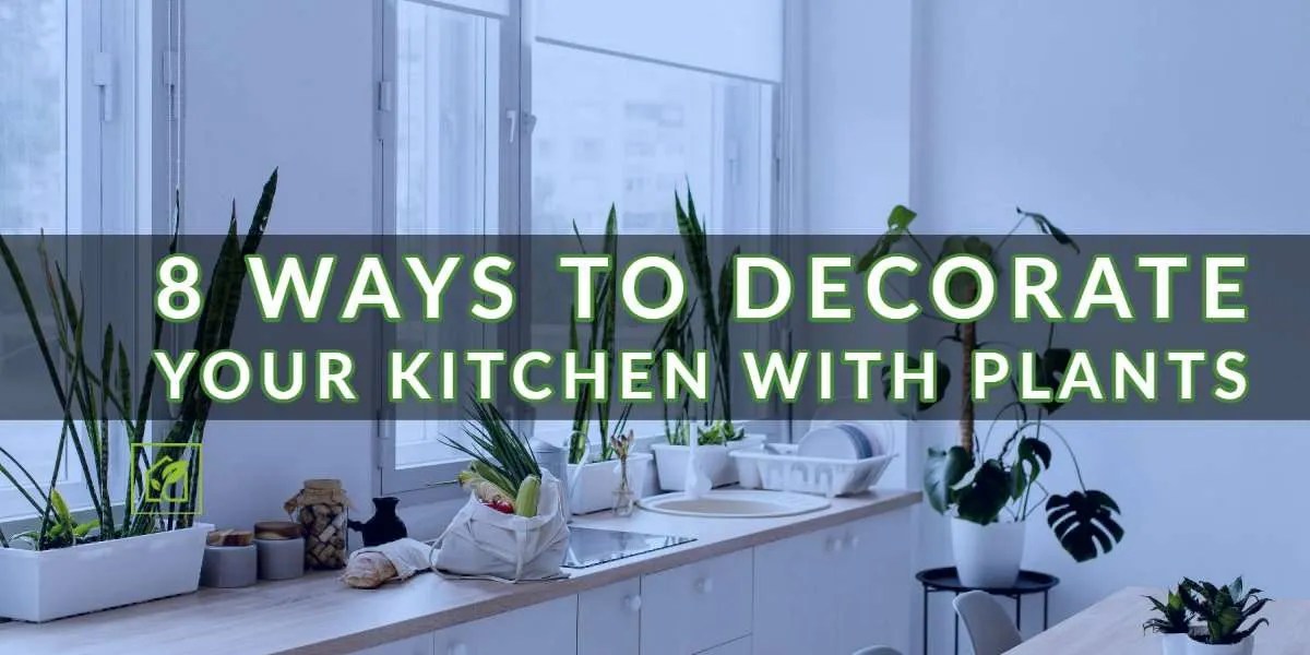 8 Ways to Decorate Your Kitchen with Plants Indoor Gardening