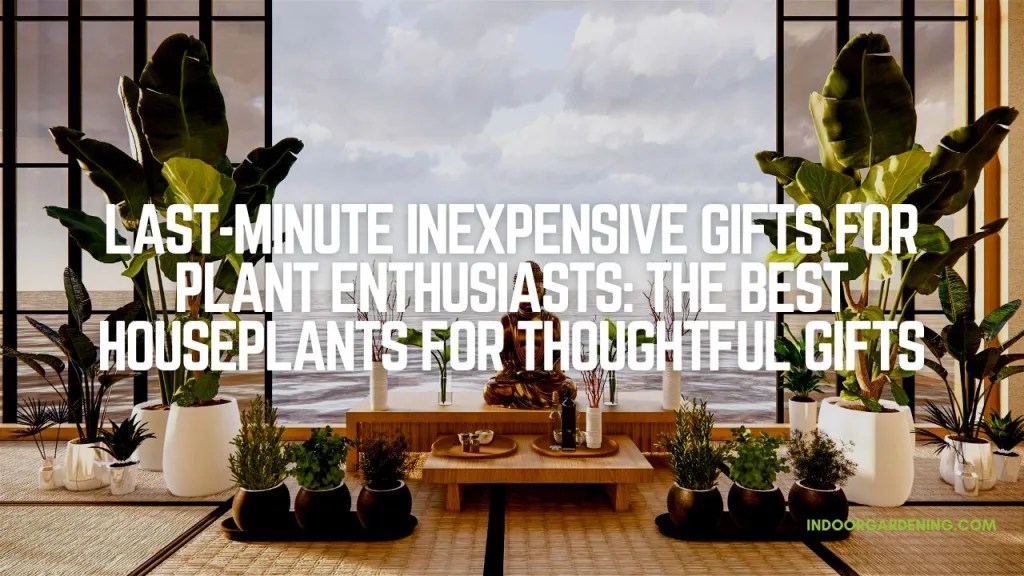 Gifts for Plant Indoor Gardening