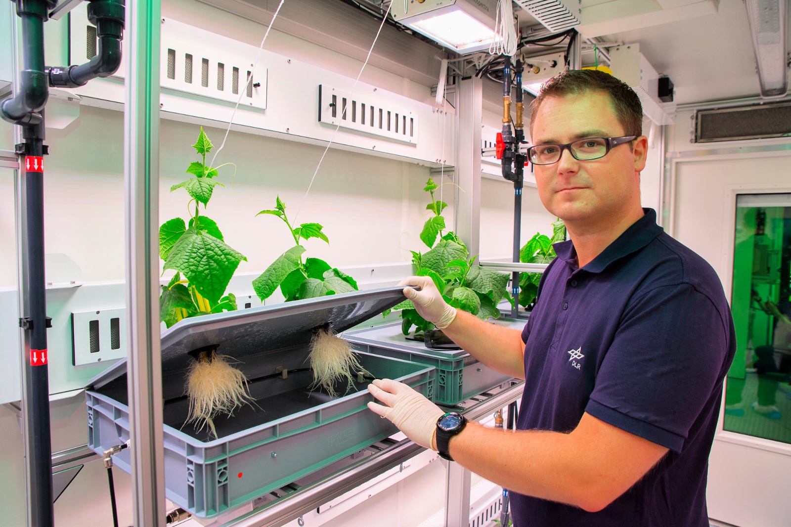 Aeroponics vs Hydroponics What Are The Differences? (And Which Has