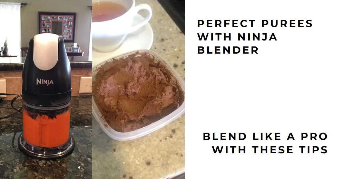 How to Puree with a Ninja Blender? Easy Steps