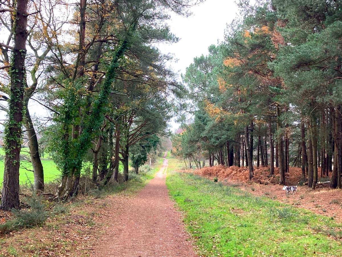 Sandford Loop Walk inDorset