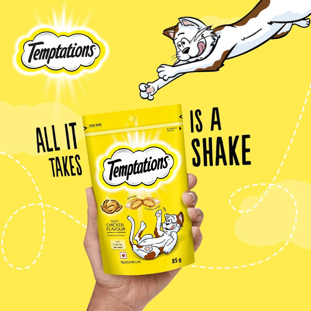 10 Produk Makanan Kucing yang Bagus dan Kaya Nutrisi. Kucing Semakin