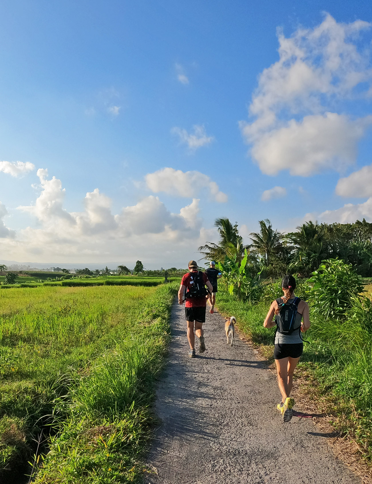 Treks à la journée Bali Indo Trek Aventure