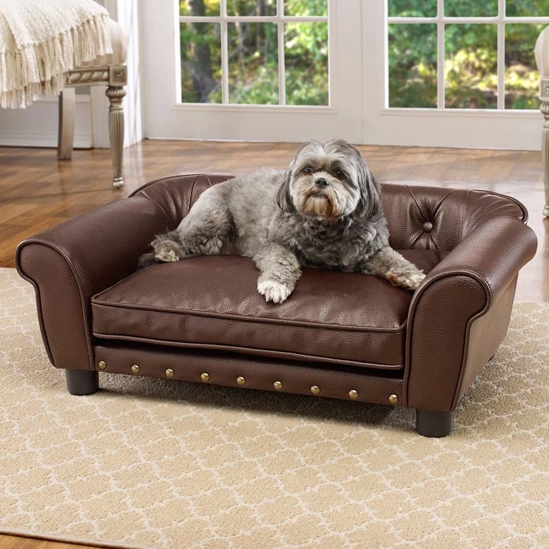 Top 4 Upholstery Fabrics for Dog Owners Indoweave