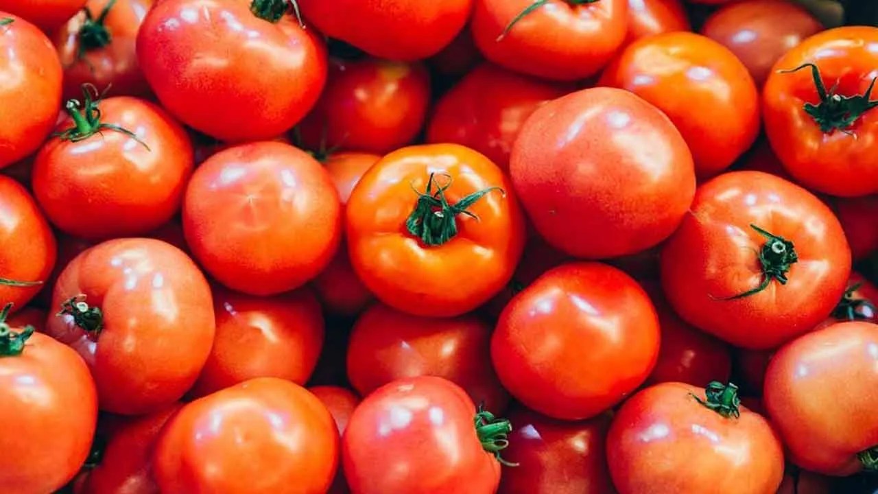 Tomato Sold at Rs 140 per kg in AP INDToday