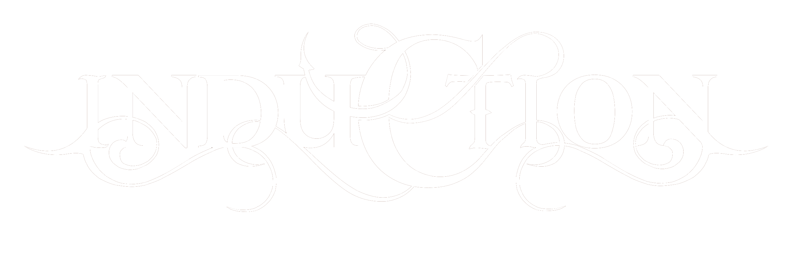 Induction Cooker Logo