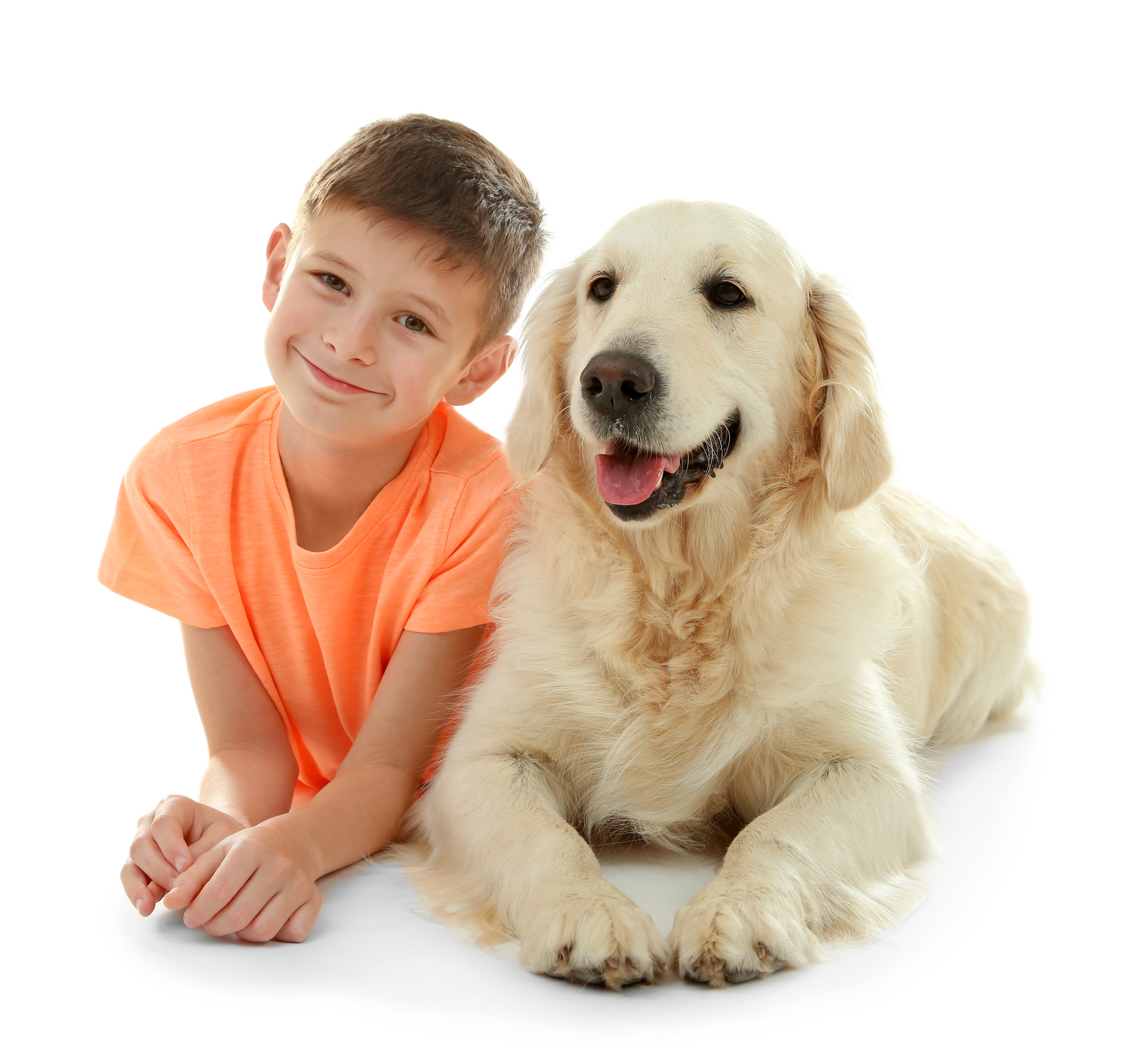 Copper Hepatopathy in Dogs… Causes and Symptoms Explained.