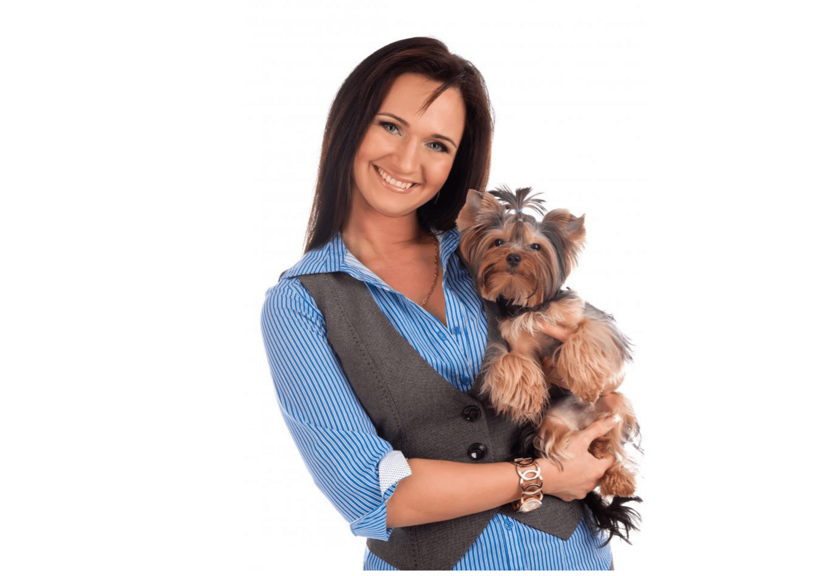 Xylitol Toxicity in Dogs… Symptoms, expectations, and costs!