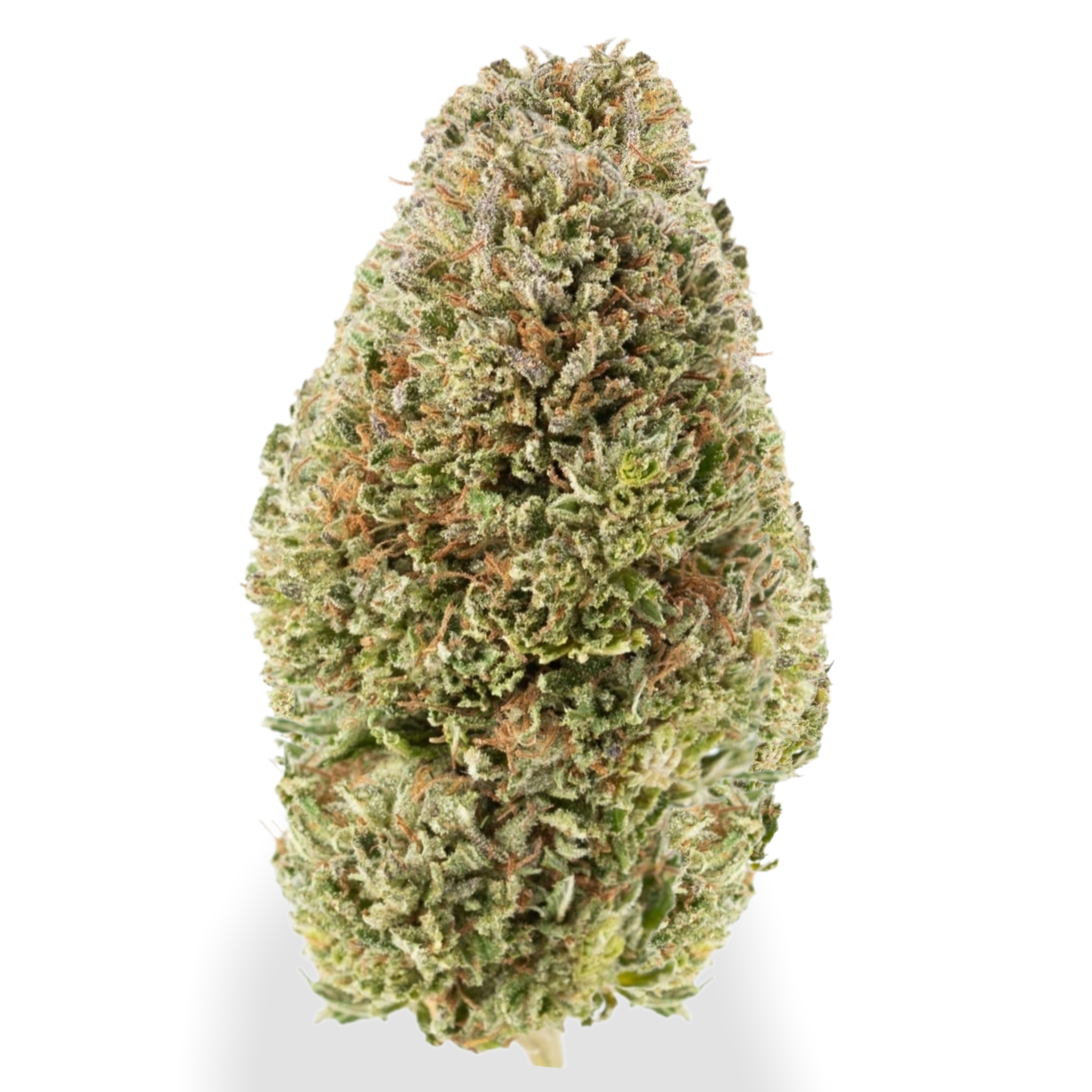 The 8 Top Best Legal CBD Hemp Flower Strains Industrial Hemp Farms