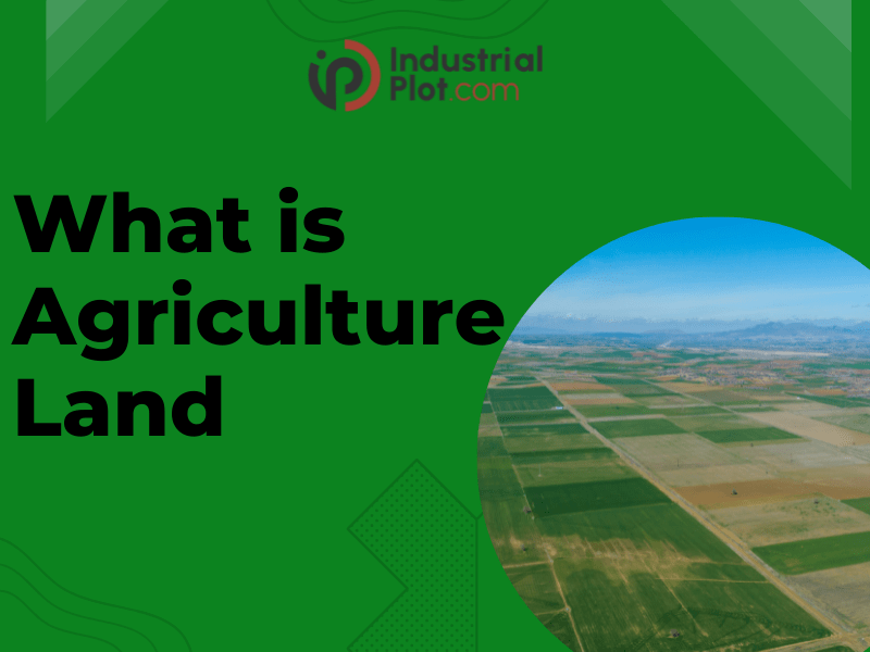 What is Agriculture land and Advantage and Disadvantage of buying