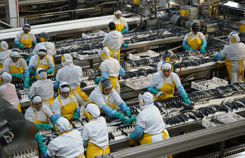 El 85 del empleo en la industria de procesado de Chile lo desempeñan
