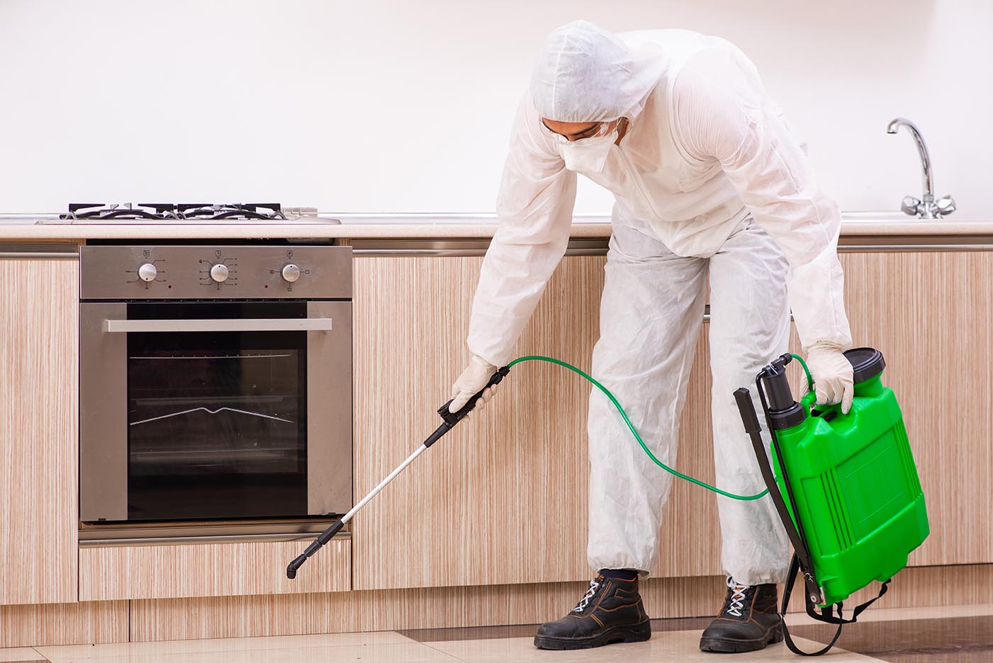 Best Pest Control Services in Doncaster Industry Top 5