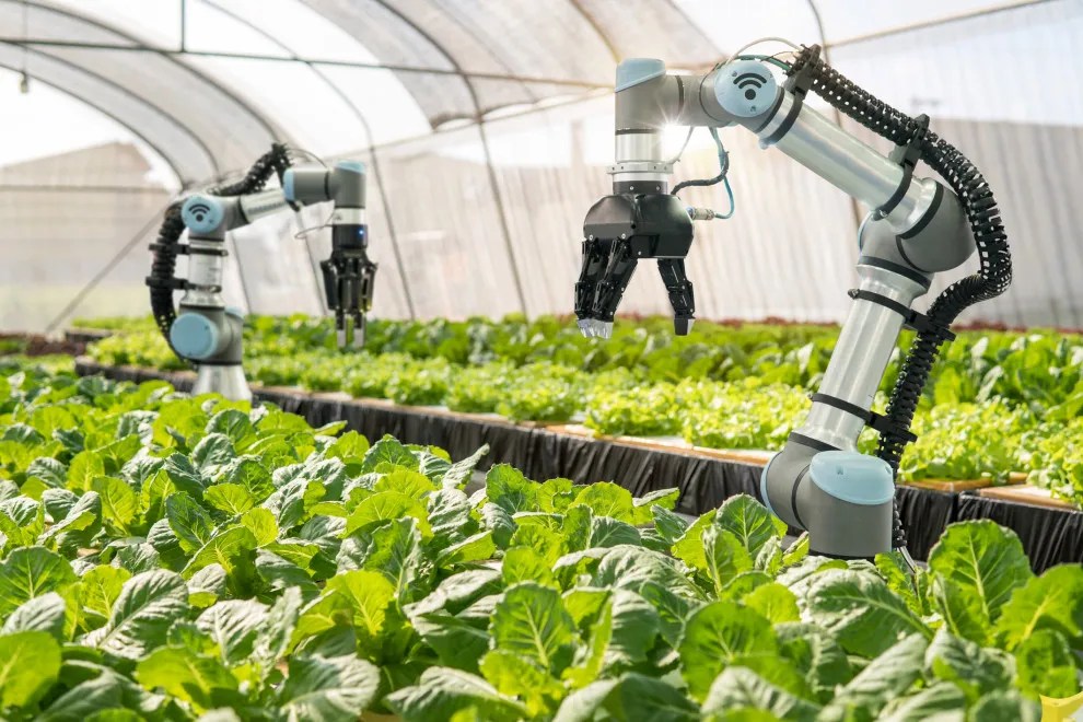 How will the Food Tech Industry Look Like in the Future?