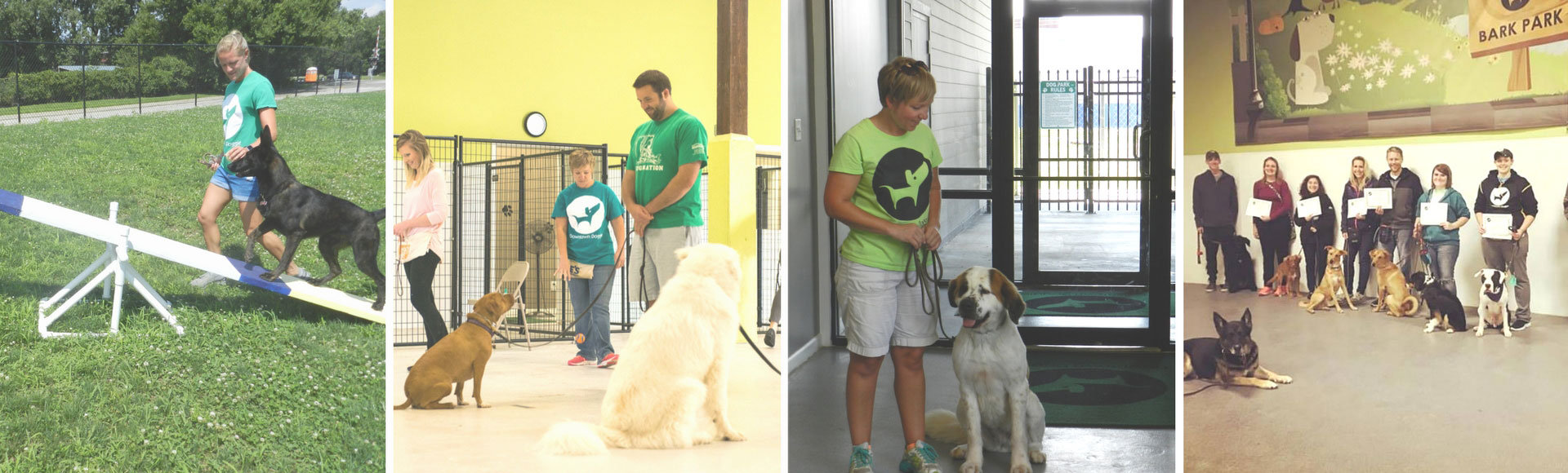 TrainingHeader Indianapolis Downtown Doggie (Indy DTD)