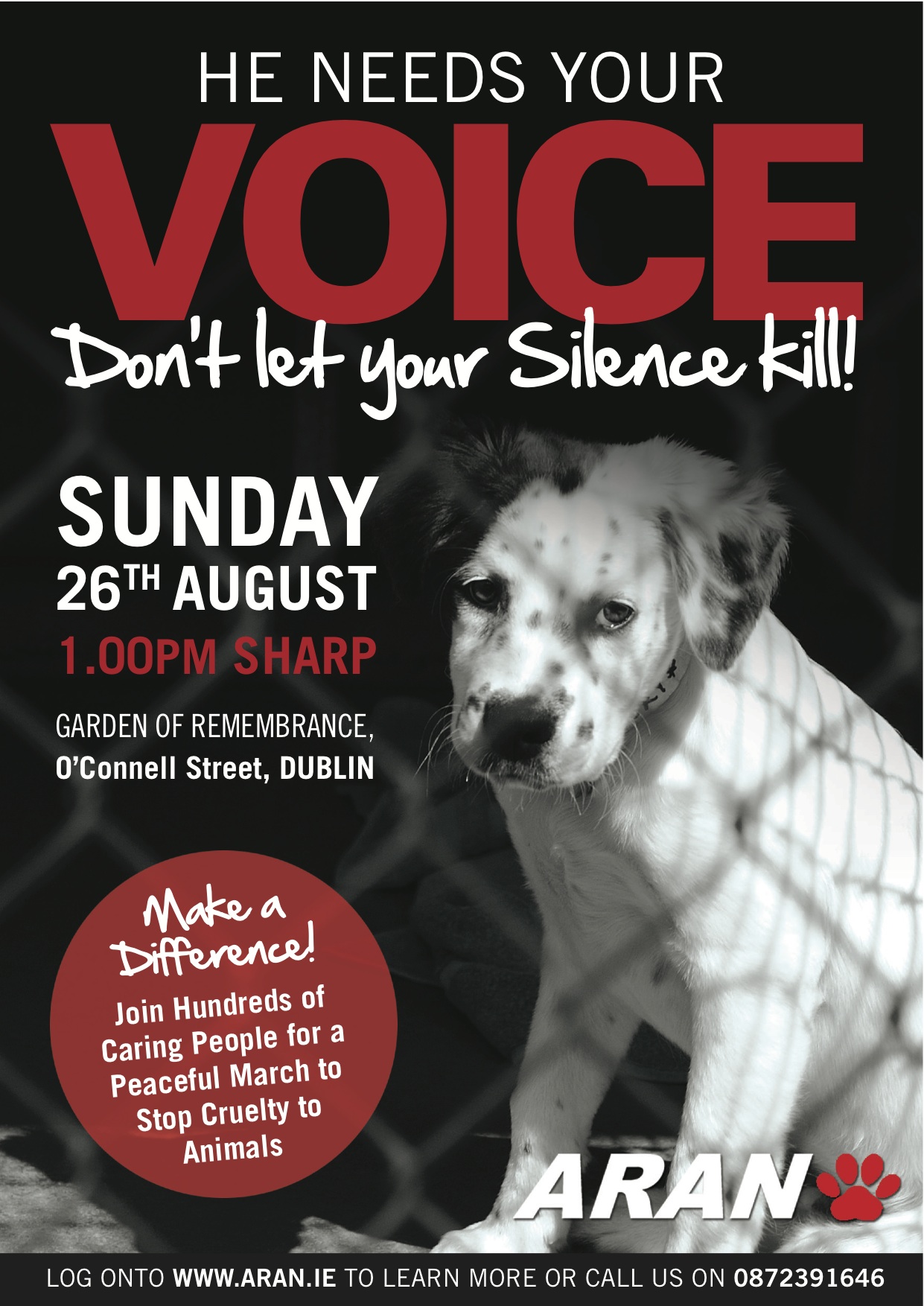 Mark Your Diary for Ireland's Big Day Against Cruelty to Animals 2012