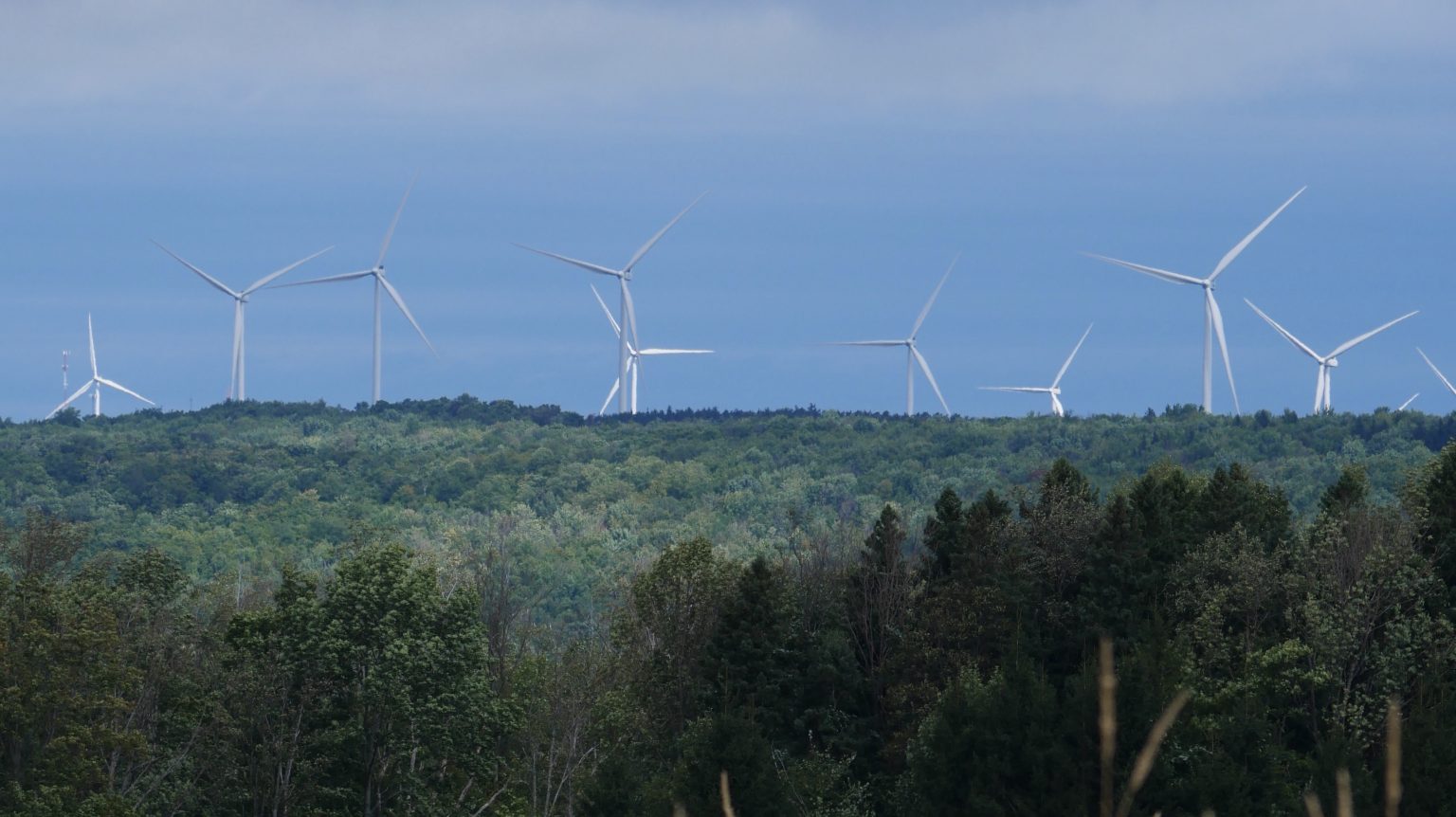 OpEd New York’s New Energy Era Needs a New Leader The Indypendent